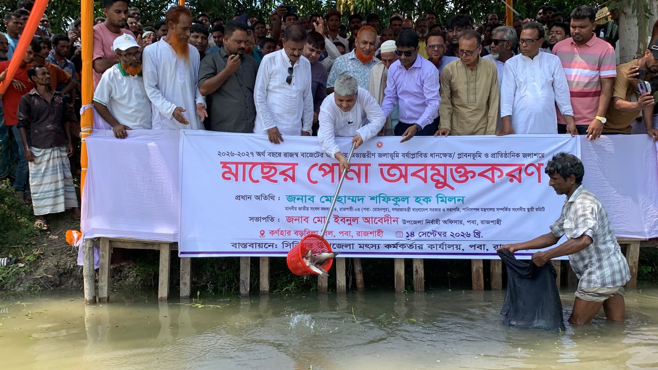 মাছের পোনা বড় হলে সমৃদ্ধ হবে জলাশয়: এমপি মিলন